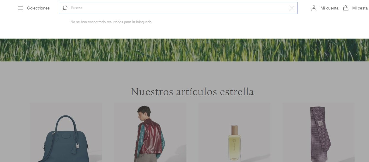 Buscador-ecommerce-TheLuxuryTrends