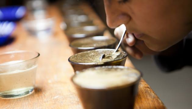 Cafe-cata-TheLuxuryTrends