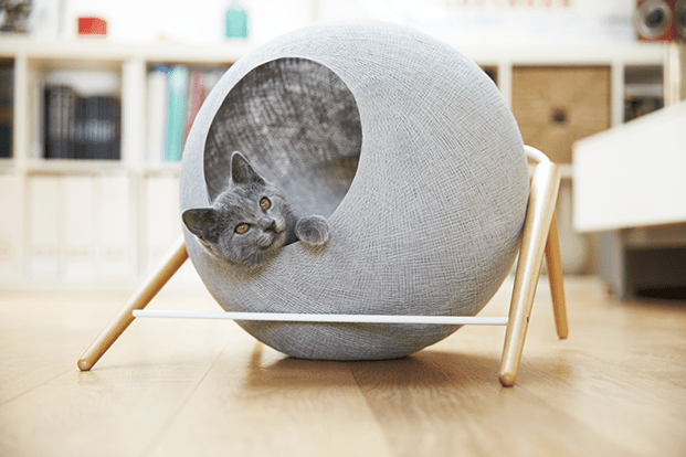 meyou-la-ball-gato-TheLuxuryTrends